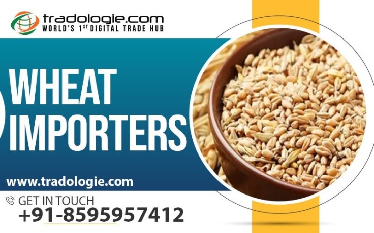 wheat-importers-big-0